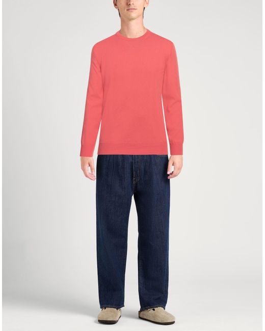 Pullover Kangra de hombre de color Pink