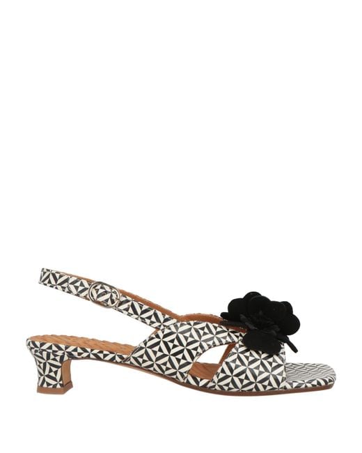 Chie Mihara Black Sandals