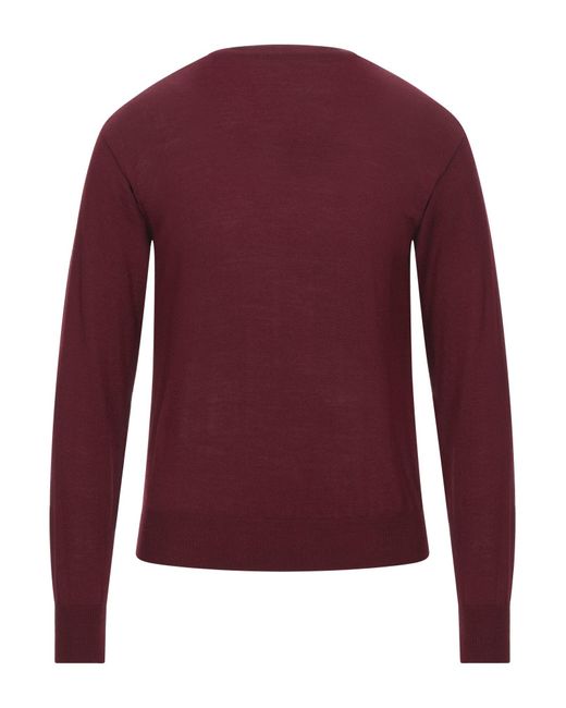 SIGNS Purple Sweater for men