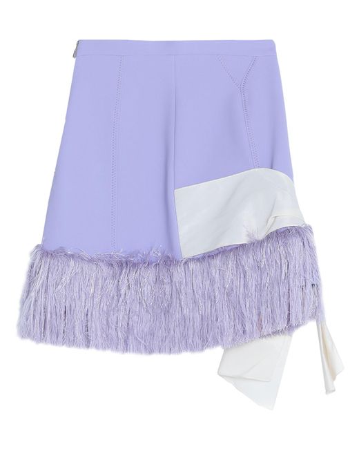 Elisabetta Franchi Purple Mini Skirt