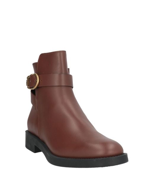 Tod's Brown Ankle Boots Leather