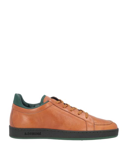 A.Testoni Brown Sneakers
