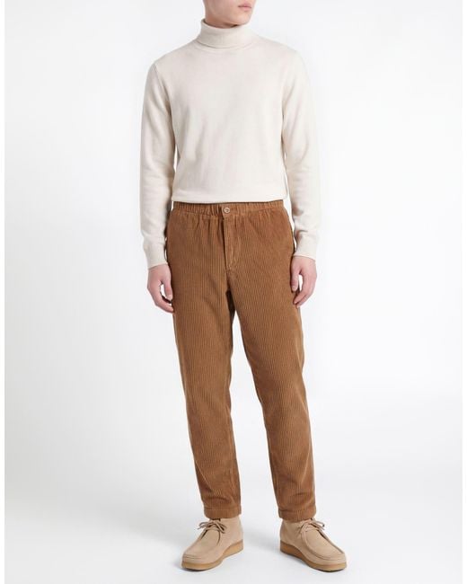 Cruna Brown Pants Cotton for men