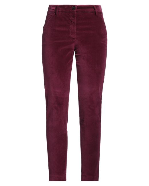 True Royal Purple Pants