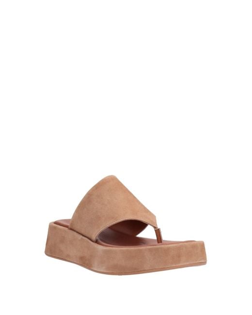 Baldinini Brown Thong Sandal