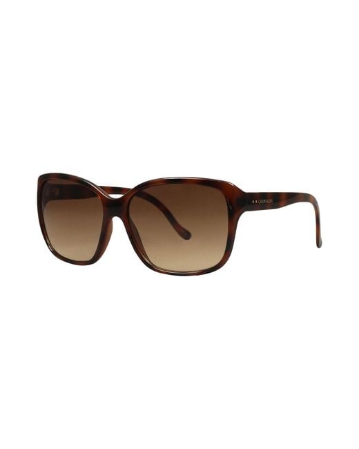 Calvin Klein Brown Sunglasses