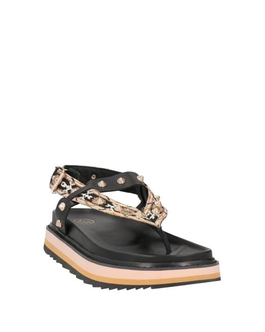Ash Black Thong Sandal