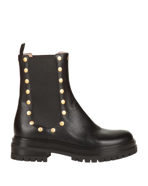Gianvito Rossi Black Ankle Boots