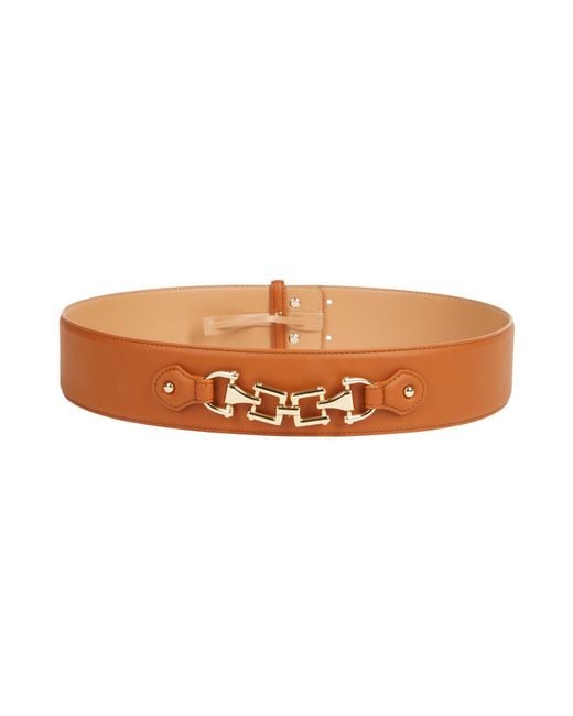 Elisabetta Franchi Brown Belt