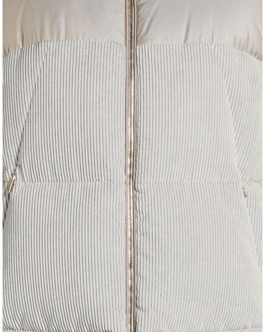 Moorer Gray Light Puffer Cotton