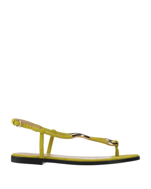 Sergio Rossi Natural Thong Sandal