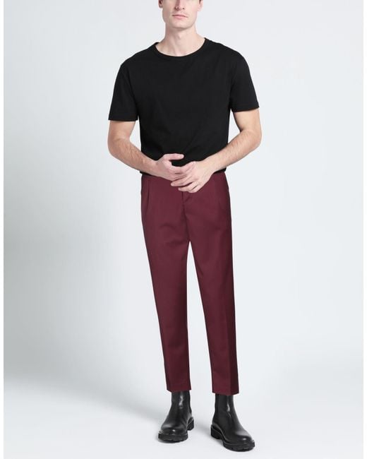 Stilosophy Purple Trouser for men