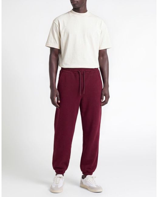 Berna Purple Garnet Pants Polyester, Viscose, Elastic Fibres for men
