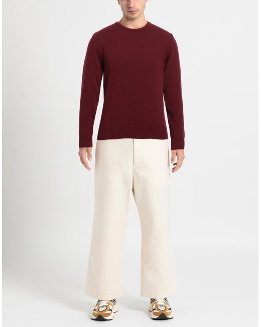 Tsd12 Red Jumper for men