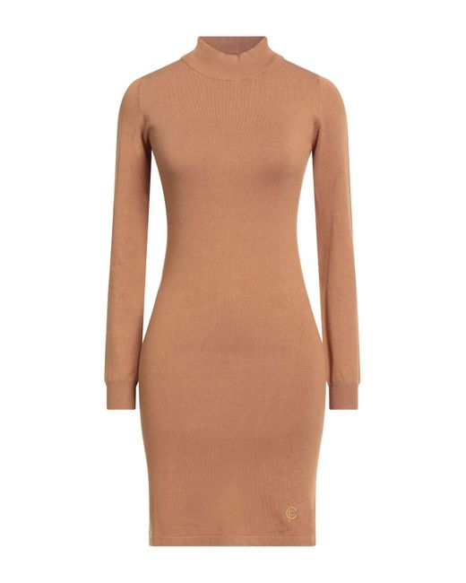 Cristinaeffe Brown Mini Dress