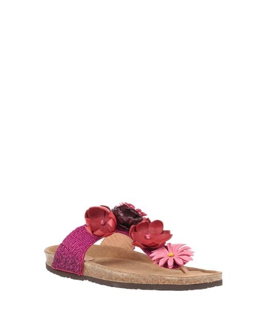Maliparmi Pink Thong Sandal