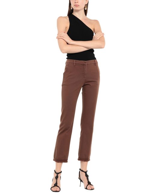 True Royal Brown Pants