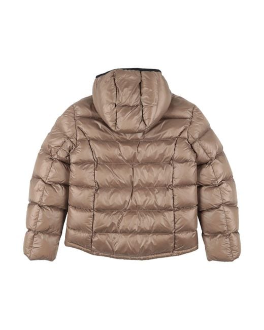 Blauer Brown Puffers for men