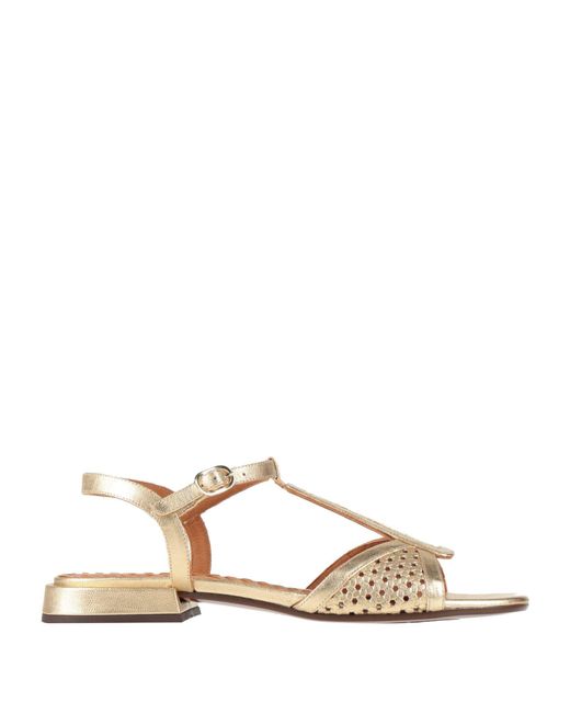 Chie Mihara Natural Sandals Leather
