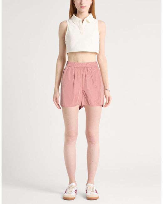 MAX&Co. Pink Shorts & Bermuda Shorts