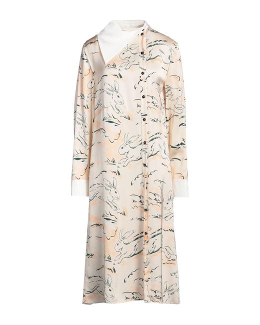 Jil Sander Natural Light Midi Dress Viscose