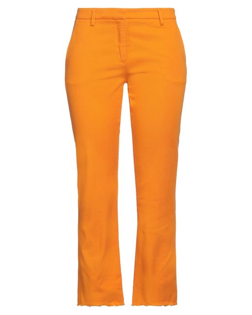 True Royal Orange Trouser