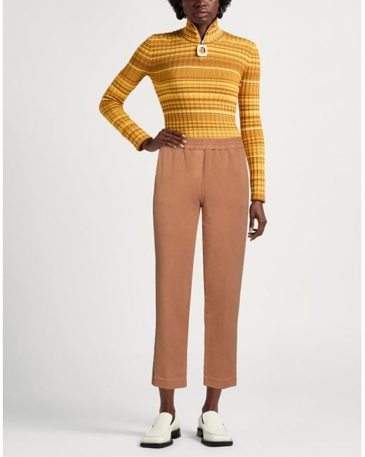 Circolo 1901 Brown Pants Cotton, Elastane