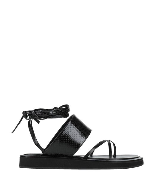 Paris Texas Black Thong Sandal