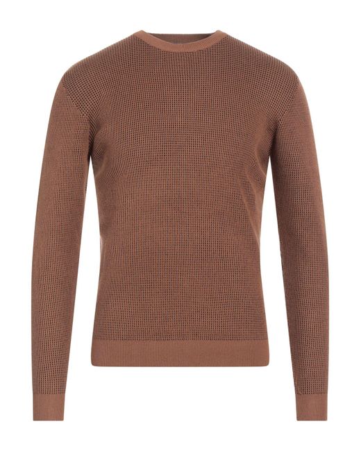Sseinse Brown Sweater for men