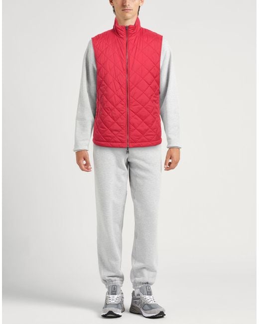 Husky Red Gilet for men