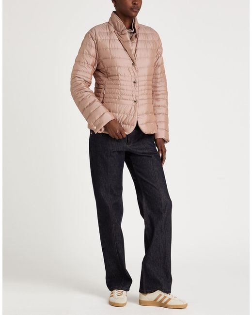 Moorer Pink Puffer