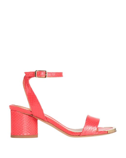 Wo Milano Pink Sandals