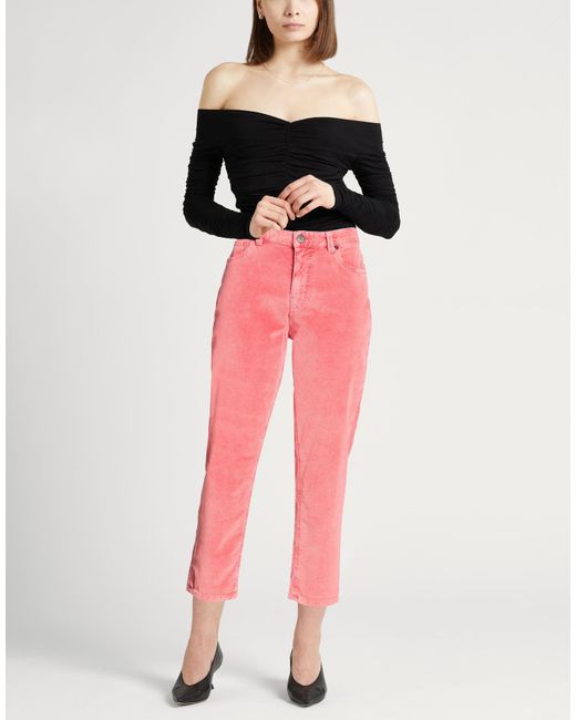PT Torino Pink Trouser