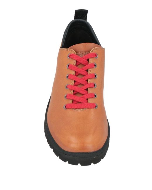 Pànchic Brown Lace-up Shoes for men