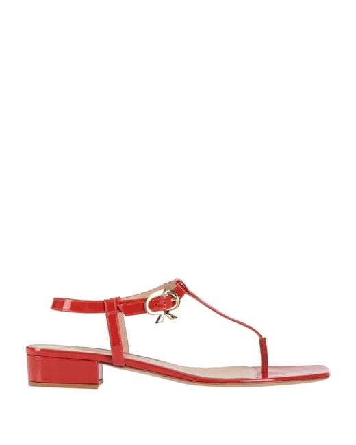Gianvito Rossi Pink Thong Sandal