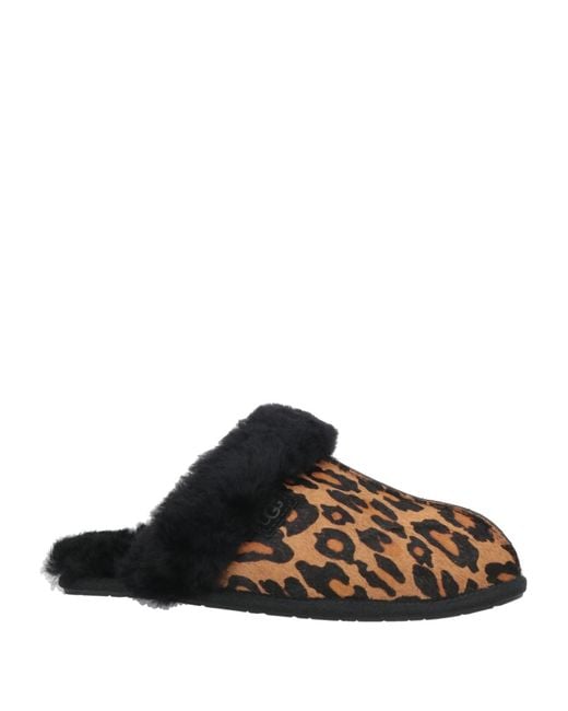 Pantofole di Ugg in Brown