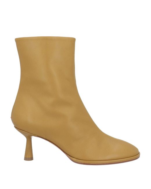 Aeyde Brown Ankle Boots