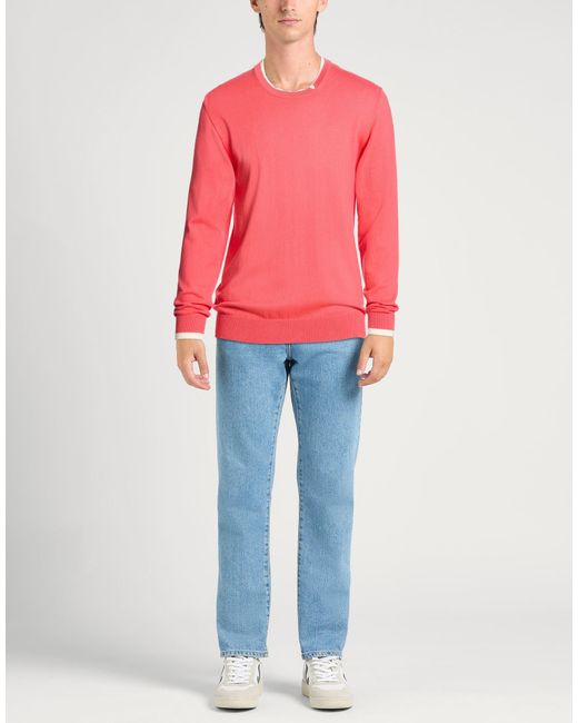 Bellwood Pink Jumper for men