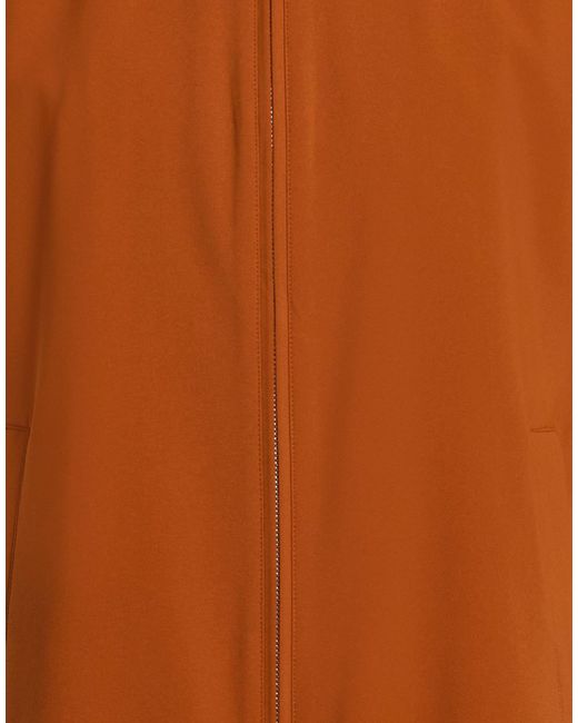 Montecore Brown Vest Polyester, Elastane for men