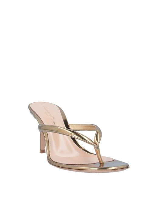 Gianvito Rossi Natural Thong Sandal