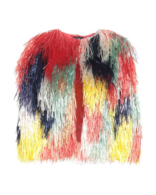 Elisabetta Franchi Multicolor Jacket
