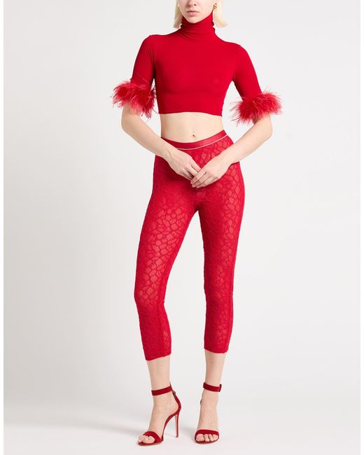 REVISE CONCEPT Red Top