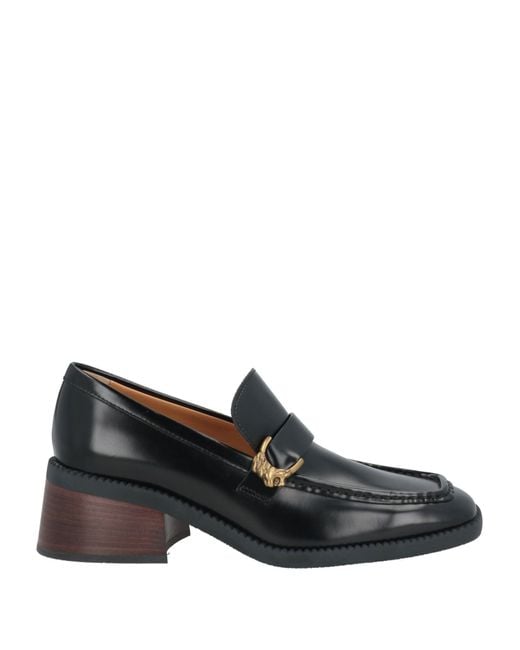 Tod's Black Loafer