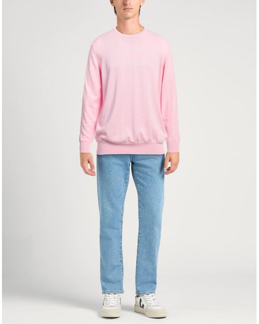 Kangra Pink Sweater Cotton for men