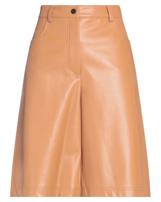 Liviana Conti Orange Shorts & Bermuda Shorts