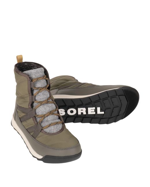 Sorel Brown Ankle Boots