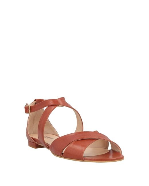 Sandalias Stele de color Brown