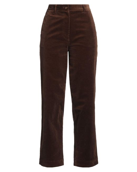 NOTHING WRITTEN Brown Hose