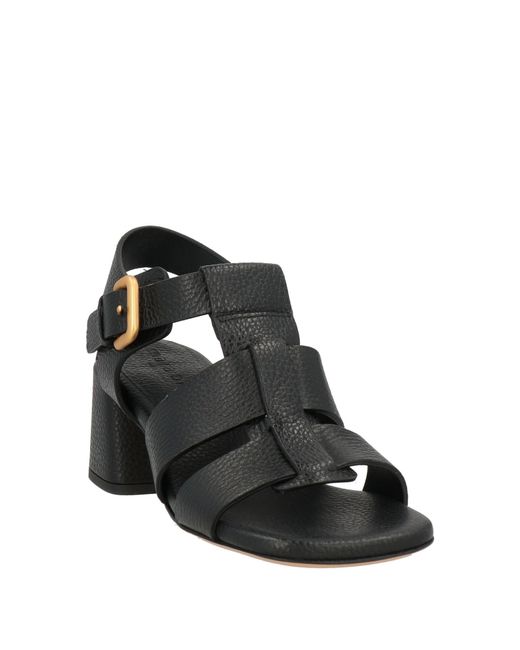 Mara Bini Black Sandals