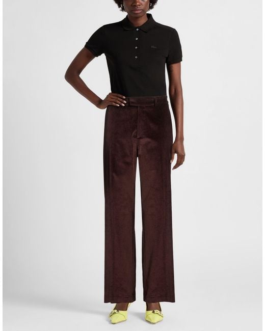 Berwich Purple Pants Cotton, Elastane